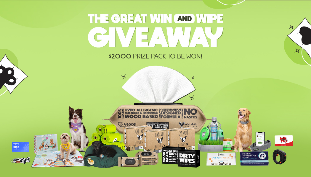 Dog giveaway: win $2000 dog prize!